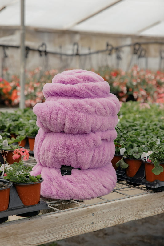 Lavender Haze