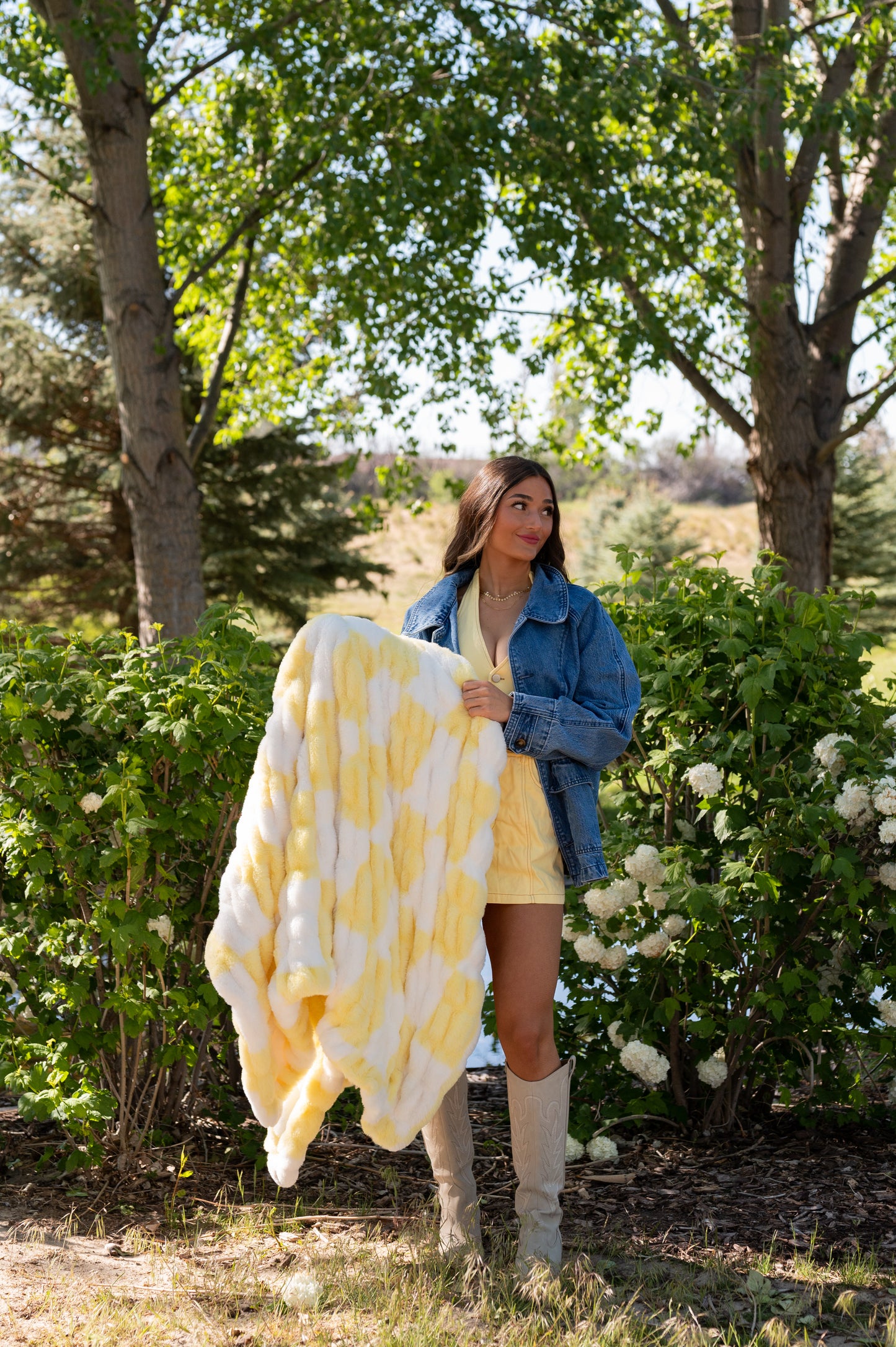 Lemon Meringue