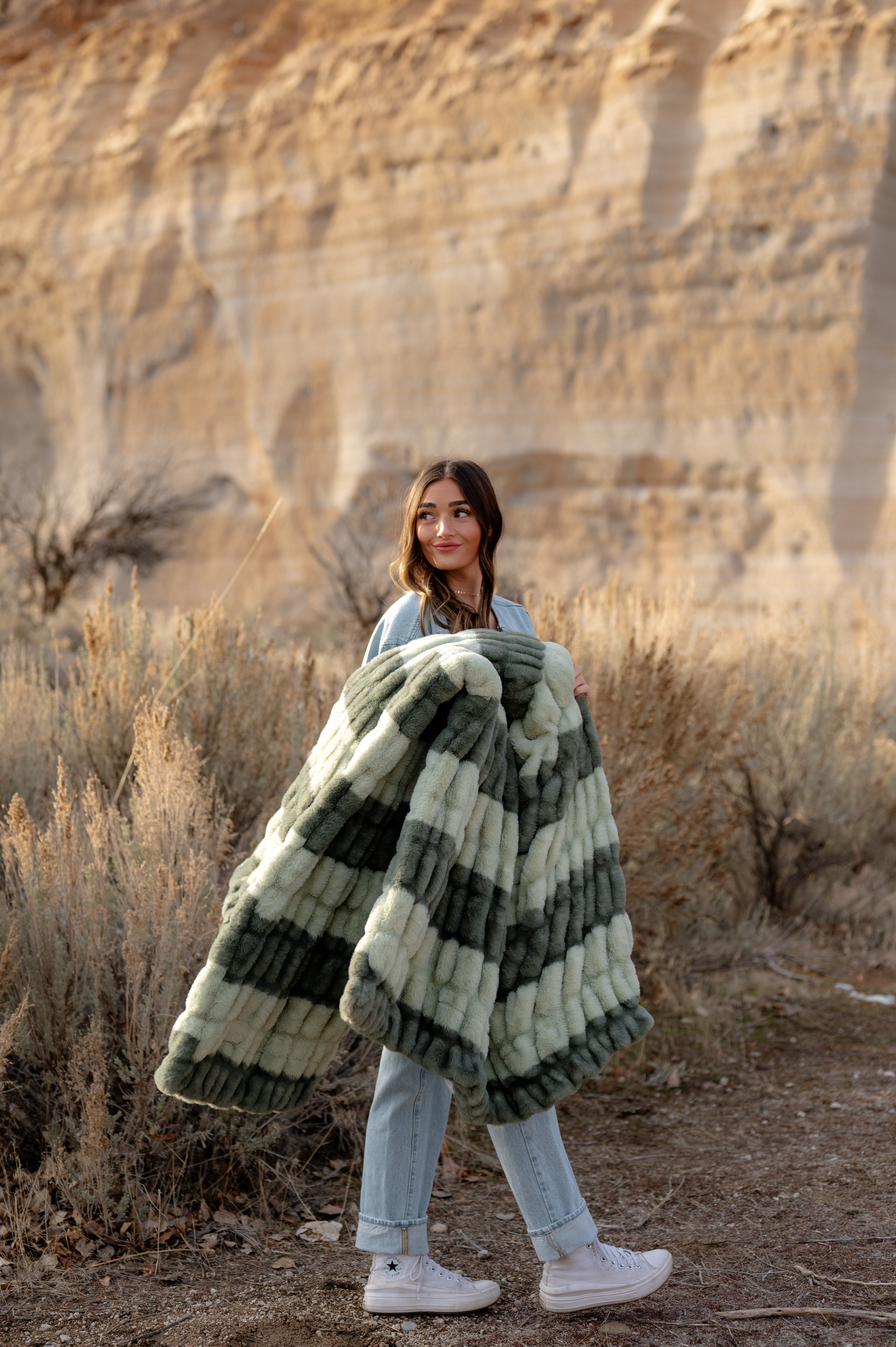 Sage Canyon Stripes