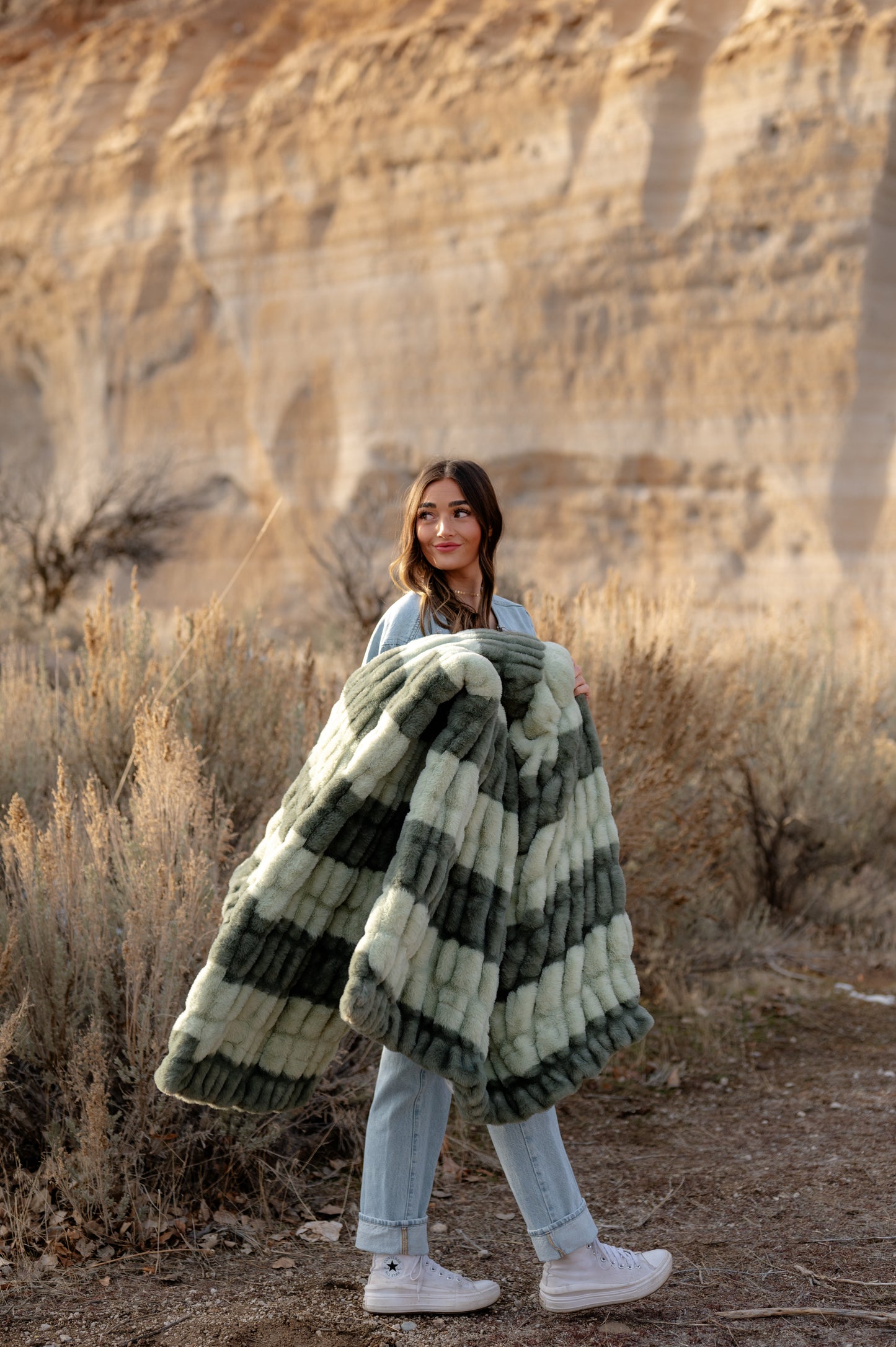 Sage Canyon Stripes