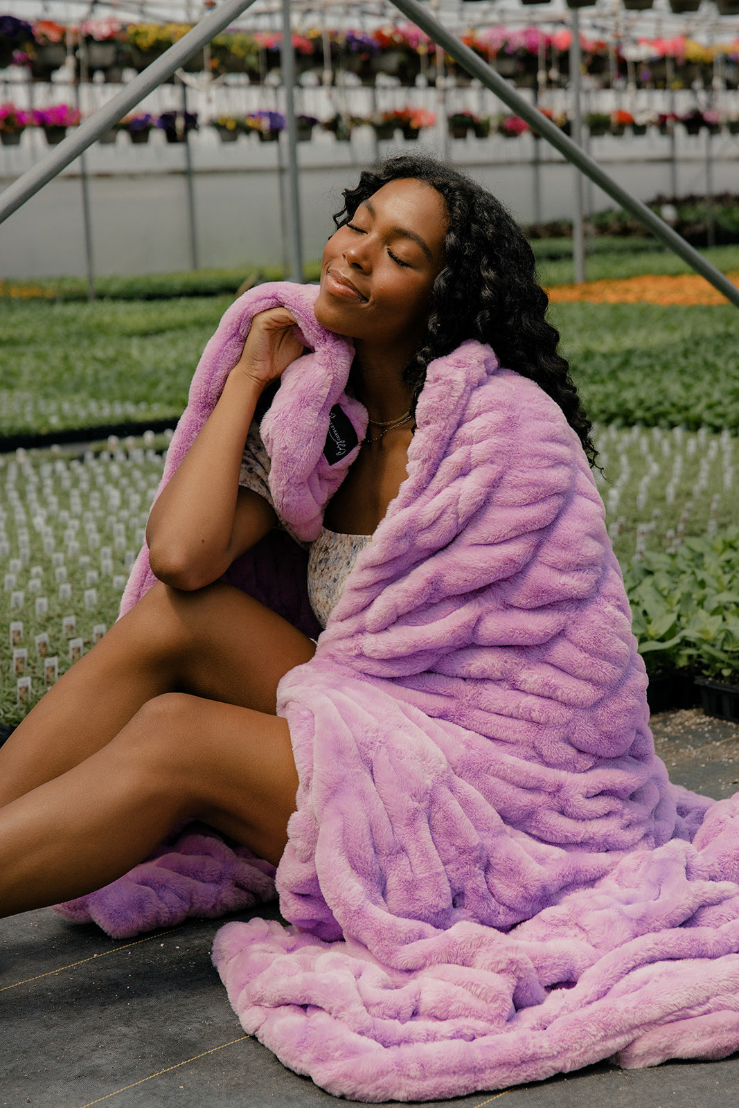 Lavender Haze