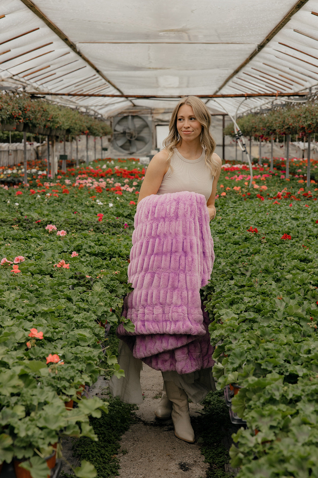 Lavender Haze