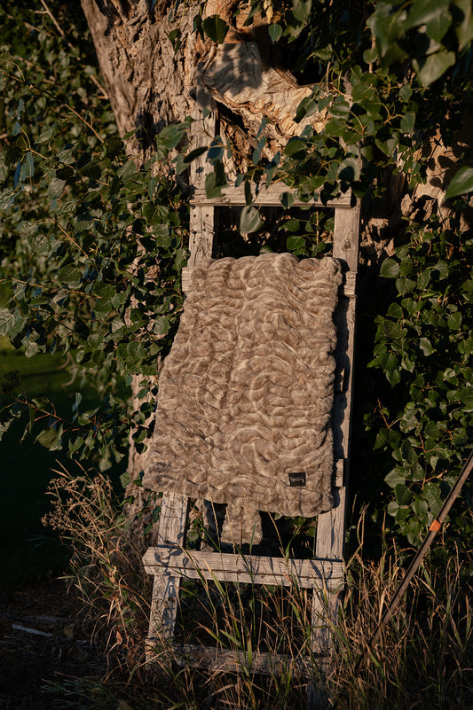 Khaki Birch