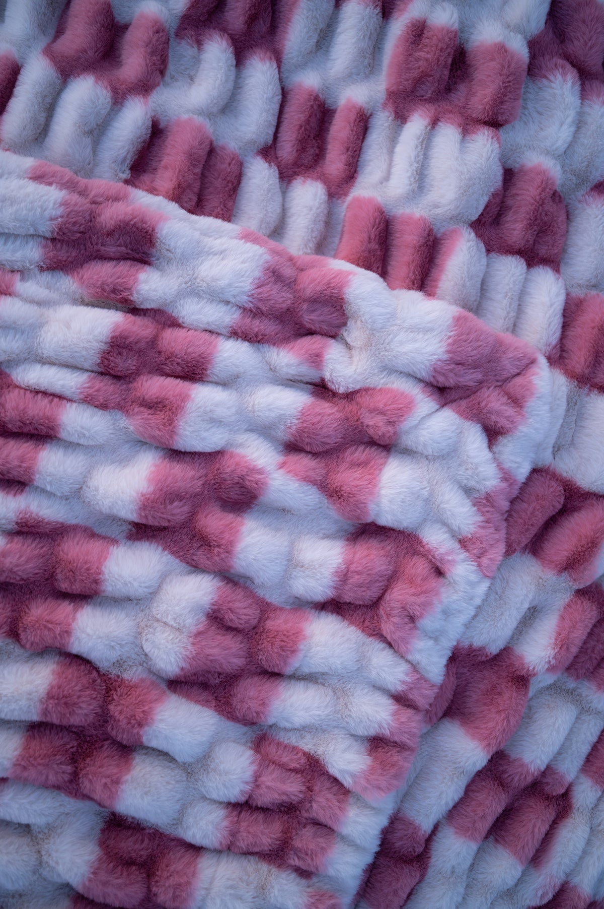 Strawberry Cream Check