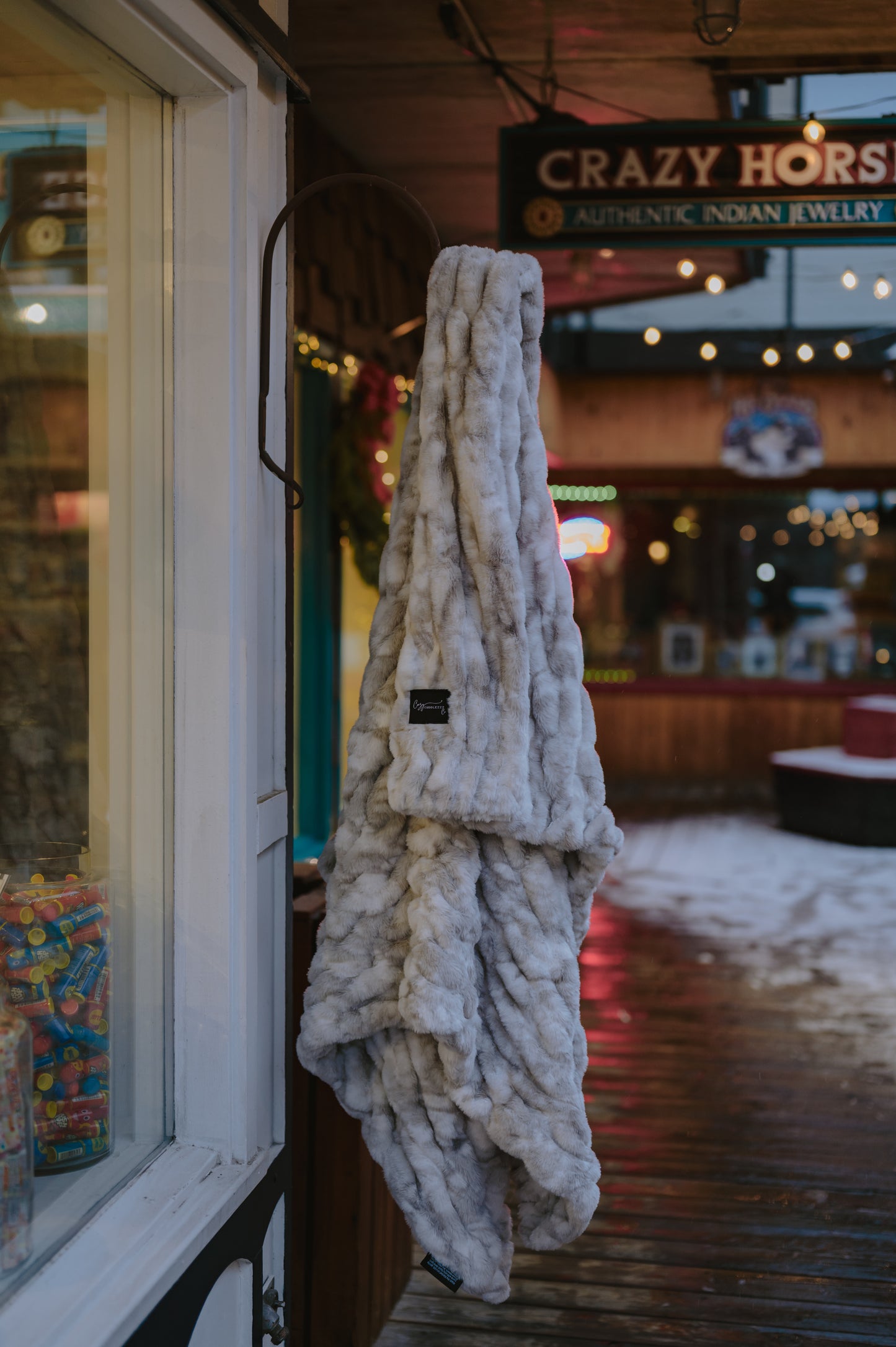 Winter Willow