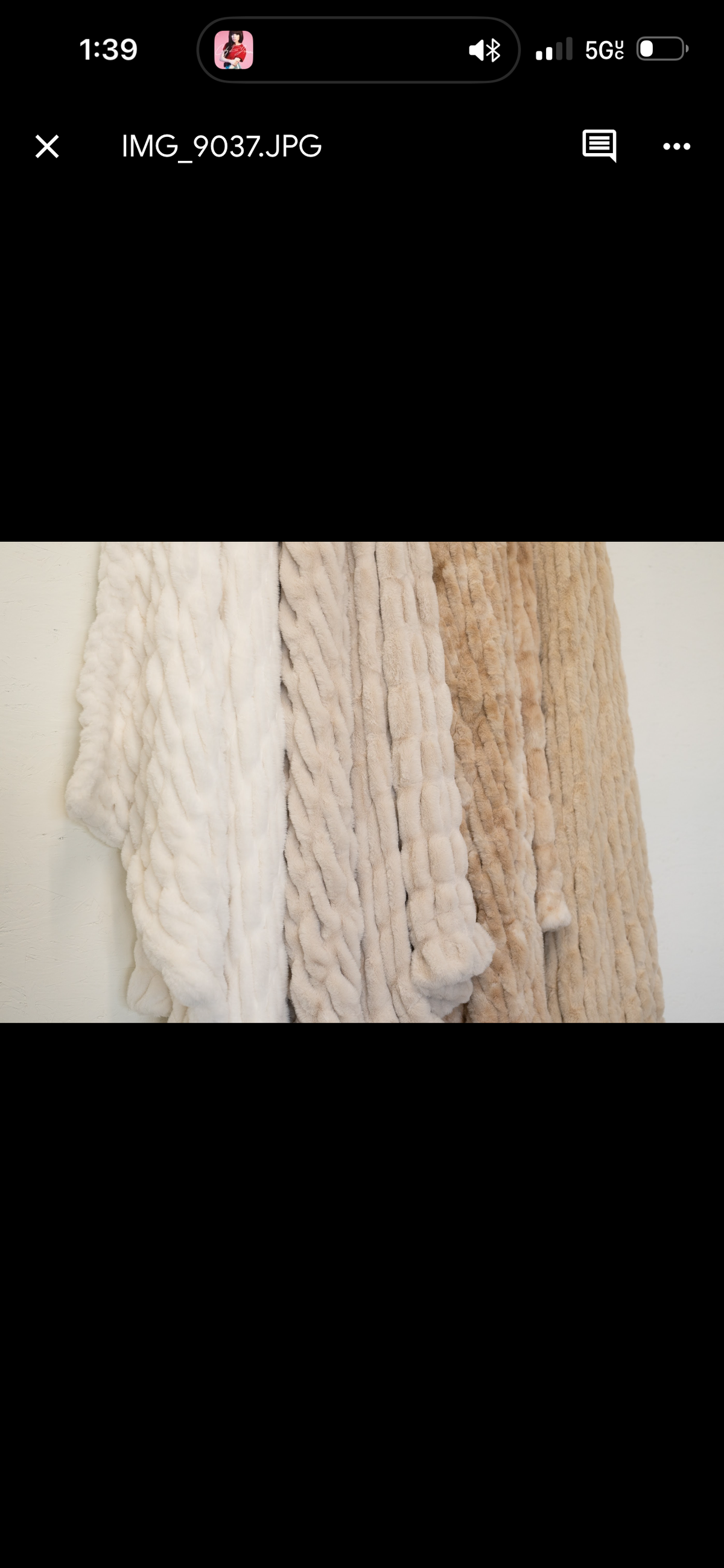 Ivory Frost